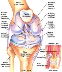 How to use your hinged knee brace after arthroscopic or open knee surgery 